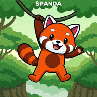 Red Panda Hello GIF by PandaMania