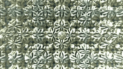 MumuSickles  GIF