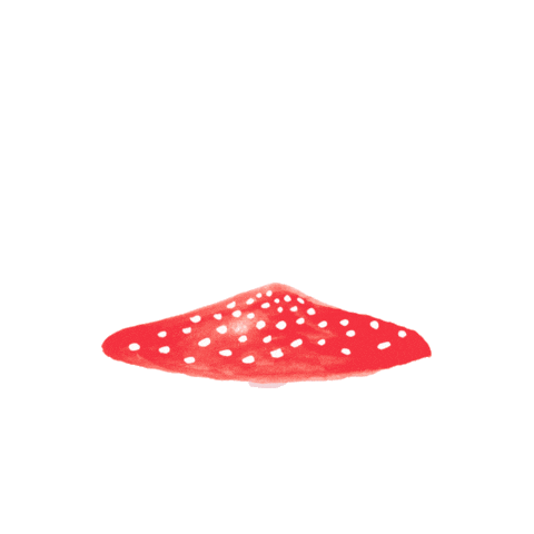 Fun Mushroom Sticker by Meri Meri