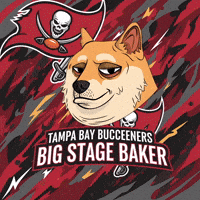 Tampa Bay Buccaneers Football GIF by Doge Pound