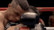 ray donovan GIF by Showtime
