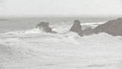 images mer GIF by BFMTV