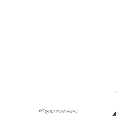 Buffalo Bills Football Sticker by West Herr