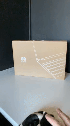 Spliter giphyupload GIF