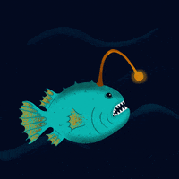 Carla_Mani light ocean fish sea GIF