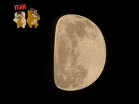 Germany Wow GIF by FranchiseONE.de