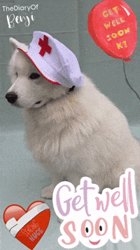Sick Get Well Soon GIF