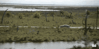 GIF by HBO