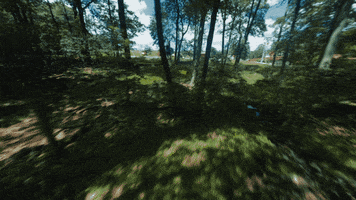 CamelbackResort cma zipline camelback camelback resort GIF