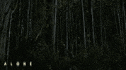 Scary Movie Horror GIF by Magnolia Pictures