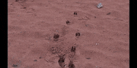 Earth Science Education GIF by DIIMSA Stock