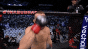 Mixed Martial Arts Sport GIF by UFC