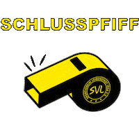 Soccer Match Sticker by Sportverein Leibenstadt 1946 e.V.