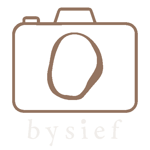Camera Photographer Sticker by bysief