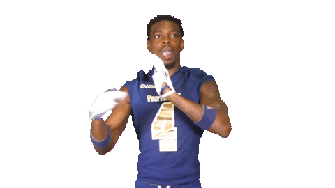 dance football Sticker by FIU