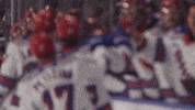 kitchenerrangers hockey highfive rangers bench GIF