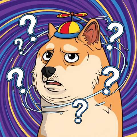 Confused Shiba Inu GIF by Doge Pound