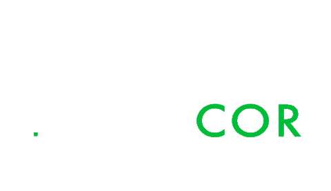 Real Estate House Sticker by Agentcor Realty