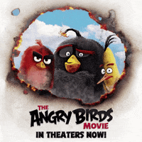 chuck burning GIF by Angry Birds