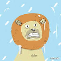 Freezing Animation Domination GIF by gifnews