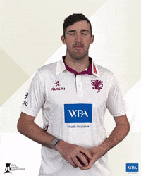Ball Bowler GIF by Somerset County Cricket Club