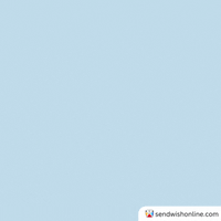 Hip Hip Hooray Clapping GIF by sendwishonline.com