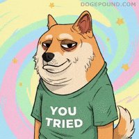 Sarcastic Shiba Inu GIF by Doge Pound