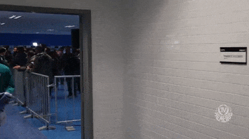 happy marcos rocha GIF by SE Palmeiras