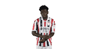 Tricolores Kingside Sticker by Willem II