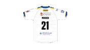 The Wire Sticker by Warrington Wolves