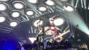 Long Island Kiss GIF by NYCB LIVE, Nassau Coliseum