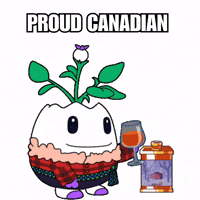 Celebrate Maple Syrup GIF by Magic Eden