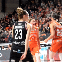 GIF by Tango Bourges Basket
