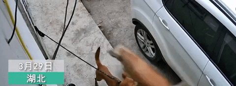 giphyupload GIF