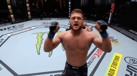 Ragnar Lodbrok Rafael GIF