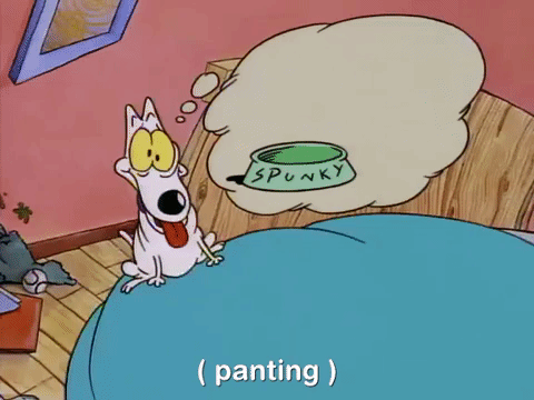 rockos modern life nicksplat GIF