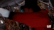 Nicole Kidman GIF by TIFF