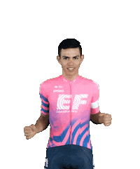 Pro Cycling Win Sticker by EF Education First