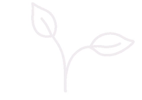 Flower Plants Sticker by Amiletters