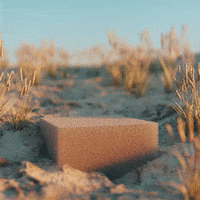 alessiodevecchi summer beach surreal physics GIF