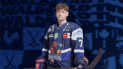 Celebration Hockey GIF by Iserlohn Roosters