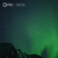 Northern Lights Space GIF by Nature on PBS