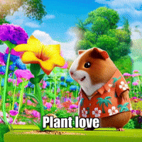 Growth Love GIF by Guinea Gambino