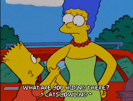 bart simpson episode 3 GIF