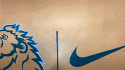 GIF by MOSO Sports