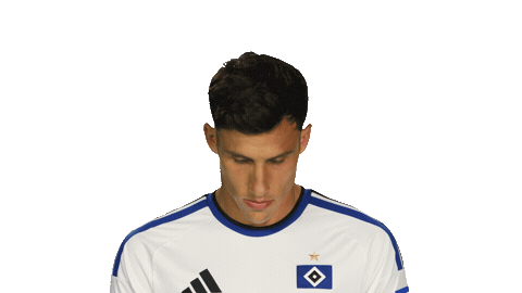 Look Up Hamburger Sv Sticker by Bundesliga