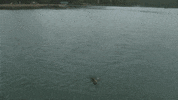 fun reeling in GIF by Winkelman