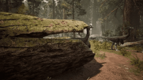 WildlifeWonders giphygifmaker GIF