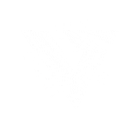 vibrantchurch thisisliving Sticker by THRIVE MVMT