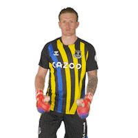 Celebrate Everton Fc Sticker by Everton Football Club